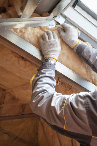 Best Geographic-Specific Insulation Services in Montgomery, PA
